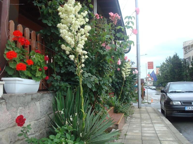 Lazur Hotel Ravda Buitenkant foto