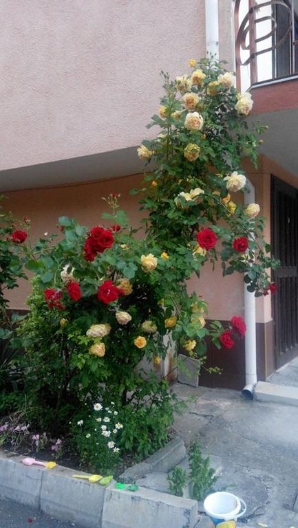 Lazur Hotel Ravda Buitenkant foto